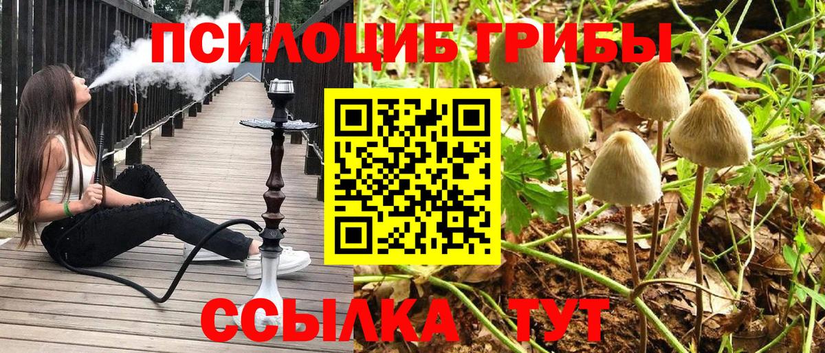 Галлюциногенные грибы мицелий Киселёвск