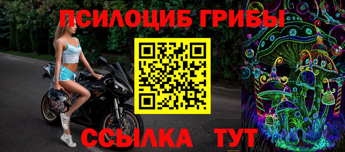 Киселёвск  Псилоцибиновые грибы мухоморы  Галлюциногенные грибы GOLDEN TEACHER  Вход с VPN 